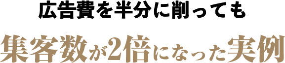 広告費を半分に削っても集客数が2倍になった実例